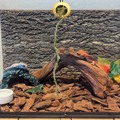 Dmuzsoih Springspinnen Versteck - Klettertau Für Spinnenbehälter,Terrarium Versteckhaus Zubehör Für Geckos Kleine Reptilien Insekten Dmuzsoih Springspinnen Versteck - Klettertau Für Spinnenbehälter,Terrarium Versteckhaus Zubehör Für Geckos Kleine Reptilien Insekten von Dmuzsoih