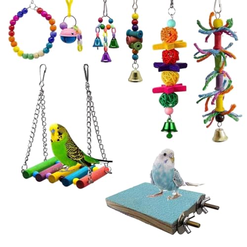 Dmuzsoih Vogelspielzeug für Sittiche, Nymphensittiche, Vogelspielzeug für Papageien, Käfigspielzeug - Spielzeug-Set mit 8 Stück - Mehrfarbiges Kauspielzeug für Papageienkäfige aus mit Dmuzsoih Vogelspielzeug für Sittiche, Nymphensittiche, Vogelspielzeug für Papageien, Käfigspielzeug - Spielzeug-Set mit 8 Stück - Mehrfarbiges Kauspielzeug für Papageienkäfige aus mit von Dmuzsoih