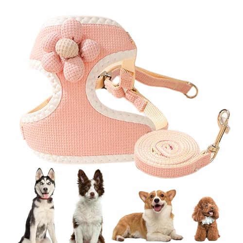 Katzenwestengeschirr und Leinen,Katzenwestengeschirr, Weiche, elastische, verstellbare Katzengeschirrweste, Ausbruchsicheres, multifunktionales Outdoor-Katzenzubehör mit 120 cm langen Leinen für Hunde Katzenwestengeschirr und Leinen,Katzenwestengeschirr, Weiche, elastische, verstellbare Katzengeschirrweste, Ausbruchsicheres, multifunktionales Outdoor-Katzenzubehör mit 120 cm langen Leinen für Hunde von Dmuzsoih