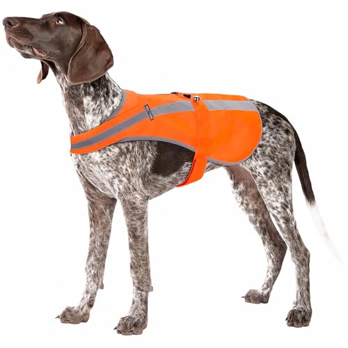Reflektierende Hundeweste für mittelgroße und große Rassen, hohe Sichtbarkeit, mit abnehmbarer Glocke, schützt vor Jagd, Training und Autounfällen von Dnallrino