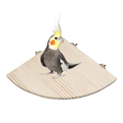 24,9 x 24,9 cm große Vogel-Sitzstange, Ständer für kleine Tiere, aus natürlichem Holz, rechteckiger Ständer, Sitzstange für Papageien, Sittiche, Nymphensittiche, Ratten, Hamster, Meerschweinchen, 24,9 x 24,9 cm große Vogel-Sitzstange, Ständer für kleine Tiere, aus natürlichem Holz, rechteckiger Ständer, Sitzstange für Papageien, Sittiche, Nymphensittiche, Ratten, Hamster, Meerschweinchen, von Dnoifne