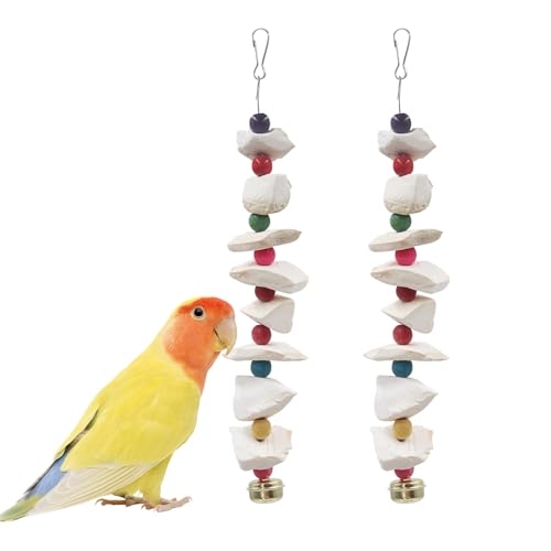2er-Set Vogelspielzeug mit Sepiaschale – Wellensittich Spielzeug & Schnabelschleifstein, Vogelkäfig-Zubehör für Wellensittiche, Nymphensittiche, Liebesvögel & andere kleine bis mittelgroße Vögel 2er-Set Vogelspielzeug mit Sepiaschale – Wellensittich Spielzeug & Schnabelschleifstein, Vogelkäfig-Zubehör für Wellensittiche, Nymphensittiche, Liebesvögel & andere kleine bis mittelgroße Vögel von Dnoifne
