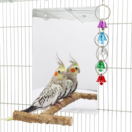 30 × 20cm Großer Vogelspiegel mit Sitzstange, Vogelspiegel mit Schaukelglockenspiel, Vogelkäfigzubehör, geeignet für Wellensittich, Nymphensittich, Ziegensittich, Unzertrennliche von Dnoifne