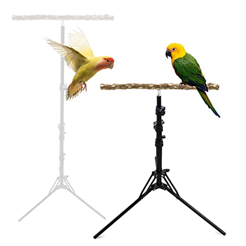 Papageien-Sitzstange aus natürlichem Papageienholz, höhenverstellbarer Vogelständer für kleine bis mittelgroße Vögel, Innen- und Außenbereich von Dnoifne