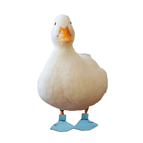 1 Paar Wasservögel Bootie Schutzschuhe für Huhn Ente von Dnoifne