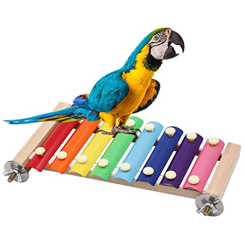 Dnoifne Buntes Vogel-Xylophon-Spielzeug, hängend, lustiges Xylophon-Spielzeug mit 8 Metallschlüsseln, Vogelkäfig, Spielzeugzubehör für Huhn, Vogel, Papagei, Papagei, Sittiche von Dnoifne