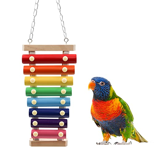 Dnoifne Buntes Vogel-Xylophon-Spielzeug, hängend, lustiges Xylophon-Spielzeug mit 8 Metallschlüsseln, Vogelkäfig, Spielzeugzubehör für Huhn, Vogel, Papagei, Sittiche, Wellensittiche, Liebesvögel Dnoifne Buntes Vogel-Xylophon-Spielzeug, hängend, lustiges Xylophon-Spielzeug mit 8 Metallschlüsseln, Vogelkäfig, Spielzeugzubehör für Huhn, Vogel, Papagei, Sittiche, Wellensittiche, Liebesvögel von Dnoifne