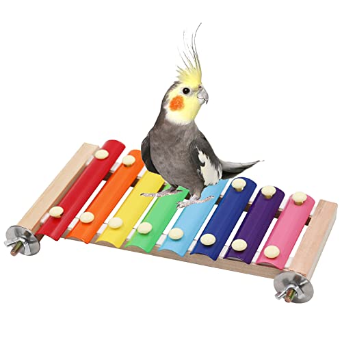 Dnoifne Buntes Xylophon-Spielzeug, lustiges Xylophon-Spielzeug mit 8 Metallschlüsseln, Vogelkäfig-Spielzeugzubehör für Hühner, Vögel, Papageien, Papageien, Sittiche, Wellensittiche, Liebesvögel von Dnoifne