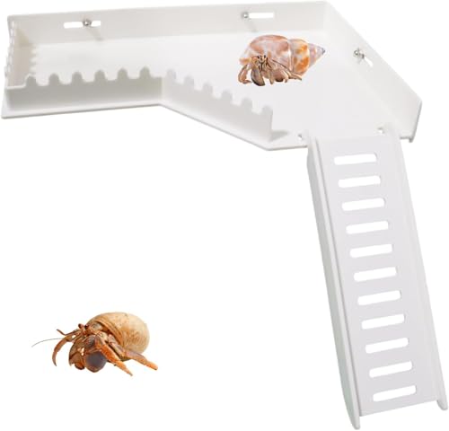 Dnoifne Kletterplattform ohne Bohren mit Rampe, Kletterwand & Versteck für Einsiedlerkrebse, Mehrstöckige Plattform mit Leiter, Werkzeugfreie Montage für Geckos, Kleine Echsen und Hamster Dnoifne Kletterplattform ohne Bohren mit Rampe, Kletterwand & Versteck für Einsiedlerkrebse, Mehrstöckige Plattform mit Leiter, Werkzeugfreie Montage für Geckos, Kleine Echsen und Hamster von Dnoifne