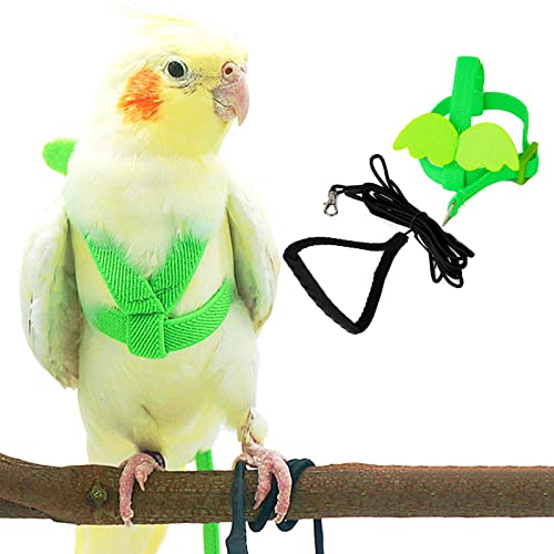 Dnoifne Pet Papagei Vogelgeschirr und Leine, verstellbares Trainings-Design, Anti-Bissschutz, Nylonseil mit süßem Flügel für Papageien, geeignet für Mini-Aras und gleiche Größe Vögel (grün) von Dnoifne