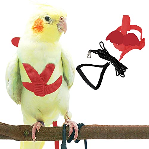 Dnoifne Pet Papagei Vogelgeschirr und Leine, verstellbares Trainings-Design, Anti-Bissschutz, Nylonseil mit süßem Flügel für Papageien, geeignet für Mini-Aras und gleiche Größe Vögel (rot) von Dnoifne