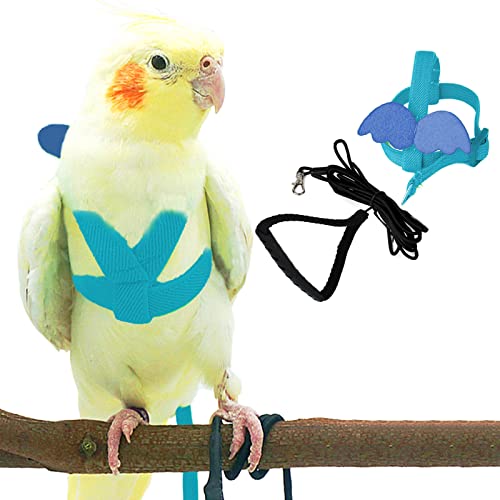 Dnoifne Pet Papagei Vogelgeschirr und Leine, verstellbares Trainings-Design, Anti-Bissschutz, Nylonseil mit süßem Flügel für Papageien, geeignet für Mini-Aras und gleiche Größe Vögel (hellblau) von Dnoifne