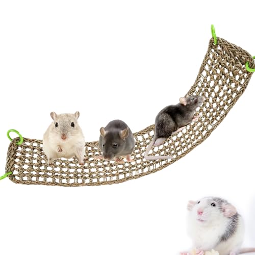 Dnoifne Ratten-Kletterspielzeug, Kleintiere, Seegras-Matte, Spielzeug, natürliches Seegras gewebtes Netz, Vogelhängematte mit Haken, Käfigzubehör für Katze, Hamster, Meerschweinchen, Papageien, Dnoifne Ratten-Kletterspielzeug, Kleintiere, Seegras-Matte, Spielzeug, natürliches Seegras gewebtes Netz, Vogelhängematte mit Haken, Käfigzubehör für Katze, Hamster, Meerschweinchen, Papageien, von Dnoifne