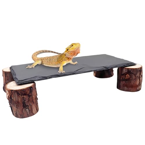 Dnoifne Sonnenplatz für Bartagamen – Schieferplatten mit Holzstapel, Verstecke & Höhlen für Leopardgeckos, Terrarium-Deko für Reptilien wie Bartagamen, Geckos, Königspythons & Schildkröten von Dnoifne