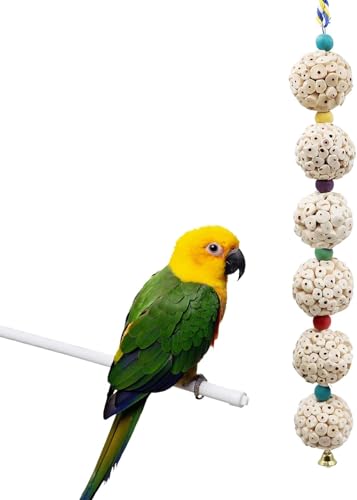 Dnoifne Vogel Kauspielzeug mit Sola Holzball & Glocke – Naturkäfigzubehör für Papageien, Wellensittiche, Nymphensittiche und Kleintiere Dnoifne Vogel Kauspielzeug mit Sola Holzball & Glocke – Naturkäfigzubehör für Papageien, Wellensittiche, Nymphensittiche und Kleintiere von Dnoifne