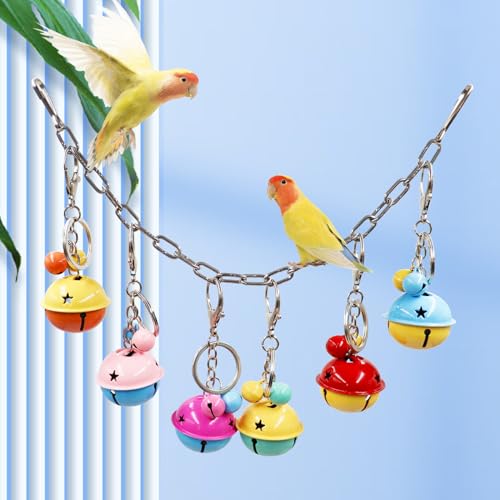 Dnoifne Vogelschaukel mit Glöckchen – Bunte Metallspielzeuge zum Aufhängen, Kauspielzeug für Vögel, Vogelkäfig-Zubehör für Wellensittiche, Nymphensittiche, Conures, Liebesvögel & Ratten von Dnoifne