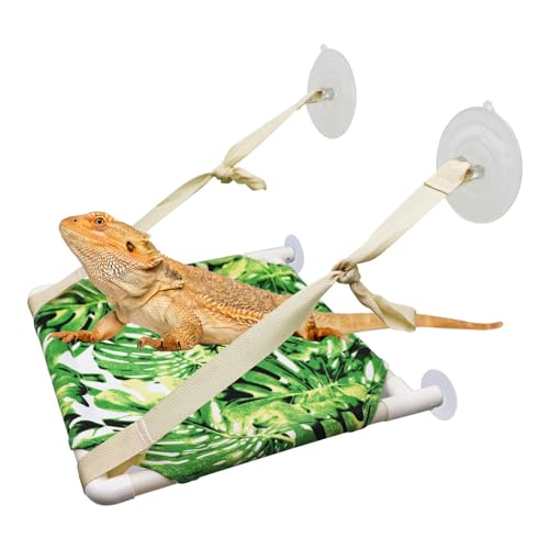 Eidechsen-Fenster-Sitzstange, Reptilienbett, Bartagamen-Fenster-Hängematte, Reptilienbehälterzubehör, Geeignet für Eidechse, Bartagame, Chamäleon, Kätzchen, Meerschweinchen, Ratte, 30 × 27 cm Eidechsen-Fenster-Sitzstange, Reptilienbett, Bartagamen-Fenster-Hängematte, Reptilienbehälterzubehör, Geeignet für Eidechse, Bartagame, Chamäleon, Kätzchen, Meerschweinchen, Ratte, 30 × 27 cm von Dnoifne