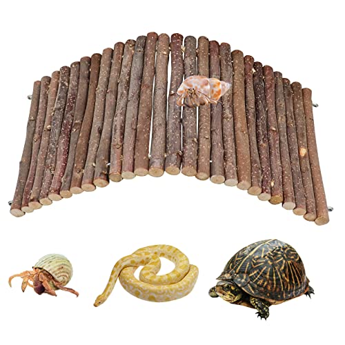 Einsiedlerkrebs Kletterspielzeug, Holz Einsiedlerkrebs Versteck Reptilien Tank Lebensraum Dekor, Biegbare Leiter Brücke Tunnel Spielzeug für Eidechse Chamäleon Hamster Ratten Chinchilla Einsiedlerkrebs Kletterspielzeug, Holz Einsiedlerkrebs Versteck Reptilien Tank Lebensraum Dekor, Biegbare Leiter Brücke Tunnel Spielzeug für Eidechse Chamäleon Hamster Ratten Chinchilla von Dnoifne