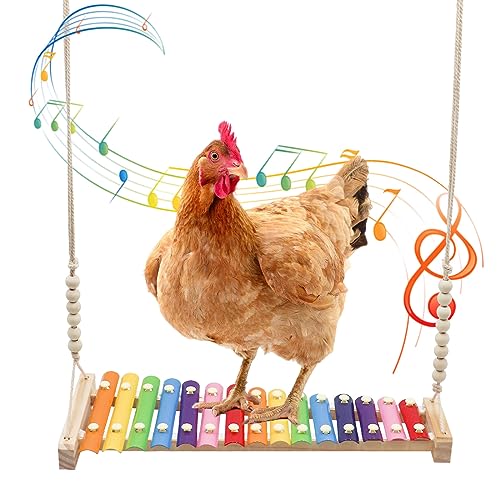 Huhnschaukel-Spielzeug, groß, bunt, lustiges Xylophon-Spielzeug mit 15 Metallschlüsseln, Käfig-Spielzeug-Zubehör für Hühner, Küken, Vögel, Papageien, Sittiche, Wellensittiche, Liebesvögel von Dnoifne