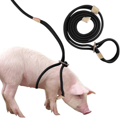 Mini-Schweinegeschirr & Leine, verstellbar 2,6 m Lange Leine für kleine bis mittelgroße Hausschweine von Dnoifne