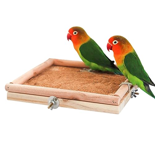 Natürliche Holz-Sitzstange für Papageienkäfige, Kletter- und Nagestange mit Krallenpflegefunktion für Papageien, Nymphensittiche, Ratten & Wellensittiche – 20 × 20 cm von Dnoifne
