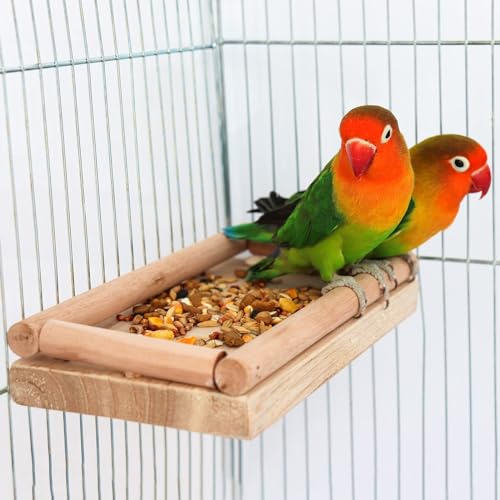 Natürliche Holz-Sitzstange für Papageienkäfige, Kletter- und Nagestange mit Krallenpflegefunktion für Papageien, Nymphensittiche, Ratten & Wellensittiche – 20 × 10 cm von Dnoifne