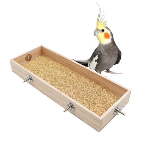 Papageien-Futterbecher & Sitzstange aus Holz – Futternapf & Schüssel für Kleintiere, Ratten, Sittiche, Wellensittiche, Liebesvögel Papageien-Futterbecher & Sitzstange aus Holz – Futternapf & Schüssel für Kleintiere, Ratten, Sittiche, Wellensittiche, Liebesvögel von Dnoifne