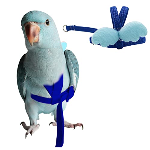 Pfingstrose Papagei Vogel Geschirr und Leine, verstellbares Training Design Anti-Biss, Vogel Nylonseil mit süßem Flügel für Pfingstrosen, Papageien und Vögel gleicher Größe (M, Blau) von Dnoifne