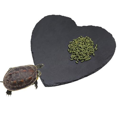 Reptilien Sonnenplattform – 20 × 20 cm Herzförmige Futter- und Liegeplatte aus Naturstein, Fressnapf & Deko für Schildkröten, Bartagamen, Chamäleons, Geckos, Frösche & Einsiedlerkrebse Reptilien Sonnenplattform – 20 × 20 cm Herzförmige Futter- und Liegeplatte aus Naturstein, Fressnapf & Deko für Schildkröten, Bartagamen, Chamäleons, Geckos, Frösche & Einsiedlerkrebse von Dnoifne