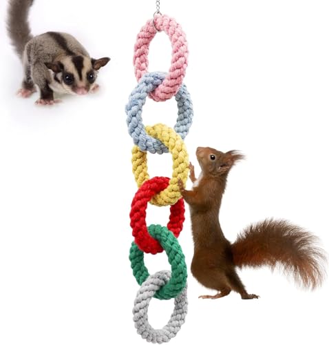 Sugar Glider Spielzeug, Hängender Kletterring aus Baumwollseil für kleine Haustiere, Ratten, Sugar Glider Käfigzubehör, Bewegungs-Spielzeug für Ratten, Eichhörnchen, Vögel & andere kleine Klettertiere von Dnoifne