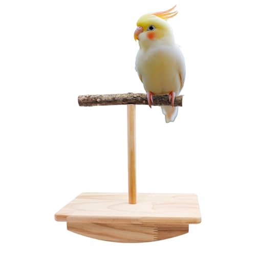 Vogelstange Schaukelspielzeug, Naturholz Papagei Tumbler Spielzeug, Vogelstange Ständer & Kauspielzeug, Sittich Pfote Schleifstab, Käfigzubehör für kleine Vögel Sittiche Nymphensittiche Wellensittiche Vogelstange Schaukelspielzeug, Naturholz Papagei Tumbler Spielzeug, Vogelstange Ständer & Kauspielzeug, Sittich Pfote Schleifstab, Käfigzubehör für kleine Vögel Sittiche Nymphensittiche Wellensittiche von Dnoifne