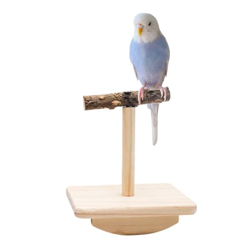 Vogelstange Schaukelspielzeug, Naturholz Papagei Tumbler Spielzeug, Vogelstange Ständer & Kauspielzeug, Sittich Pfote Schleifstab, Käfigzubehör für kleine Vögel Sittiche Nymphensittiche Wellensittiche Vogelstange Schaukelspielzeug, Naturholz Papagei Tumbler Spielzeug, Vogelstange Ständer & Kauspielzeug, Sittich Pfote Schleifstab, Käfigzubehör für kleine Vögel Sittiche Nymphensittiche Wellensittiche von Dnoifne