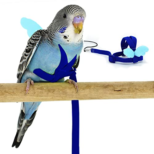 Wellensittich Papagei Vogel Geschirr und Leine, verstellbares Trainingsdesign Anti-Biss, Vogel Nylonseil mit niedlichem Flügel für Wellensittiche und Vögel gleicher Größe (S, Blau) von Dnoifne