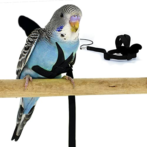 Wellensittichgeschirr und Leine, verstellbares Papageien-Vogel-Trainingsdesign, Anti-Bissschutz, Nylonseil mit niedlichem Flügel für Wellensittiche und Vögel der gleichen Größe (S, Schwarz) von Dnoifne