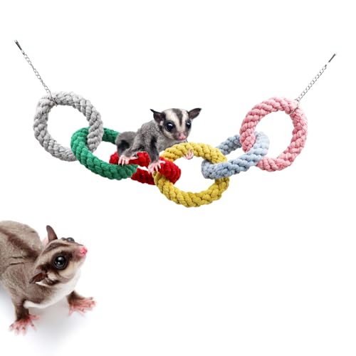Zuckergleiter zum Aufhängen, 6 Ringe, Kletterspielzeug, buntes Zuckergleiter, Schaukelspielzeug, Zuckergleiter, Hamster, Ratten, Spielzeug, Käfigzubehör für Zuckergleiter, Frettchen, Hamster, von Dnoifne