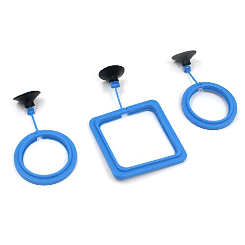 Dnyta Blue Fish Food Feeding Circle Aquarium Feeder Fish Tank Feeding Ring Fish Feeder Dnyta Blue Fish Food Feeding Circle Aquarium Feeder Fish Tank Feeding Ring Fish Feeder von Dnyta