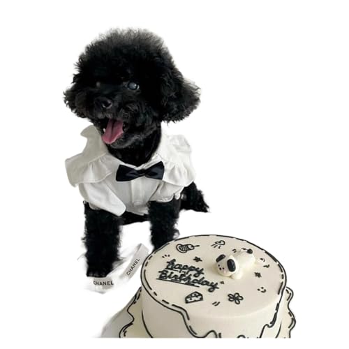 Hundekleidung, luxuriöses Sommerkleid, kariert, gestreift, Strapsrock, Hut, Weste, Set, Welpenkleid, Chihuahua, Bichon, Yorkie, Hundekostüm (Farbe: T-Shirt ohne Fliege, Größe: S) von DoRysk