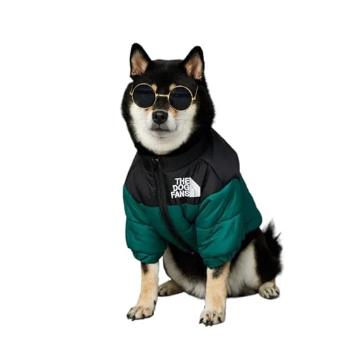 Hundekleidung für kleine, mittelgroße und große Hunde, Kleidung für französische Bulldogge, warme Daunenjacken für Yorkies, Hundezubehör (Grün, 5XL) von DoRysk