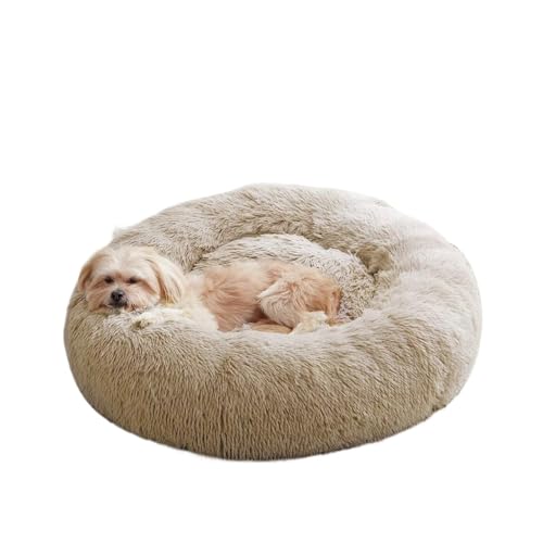 Super-Katzenbett, warm, schlafend, weich, lang, Plüsch, Hundebett für Hunde, Körbchen, Katzenbett, Katzenmatte, Tiere, zum Schlafen (Braun, 40 x 40 cm) von DoRysk