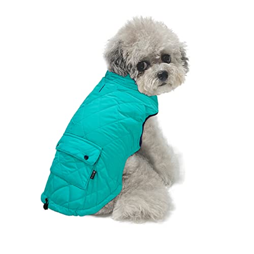 Dociote Hund Wintermantel Winterjacke mit Krageloch, Tasche, Baumwolle Gepolstert Hundemantel Weste für kleine Hunde 2XL Türkis von Dociote