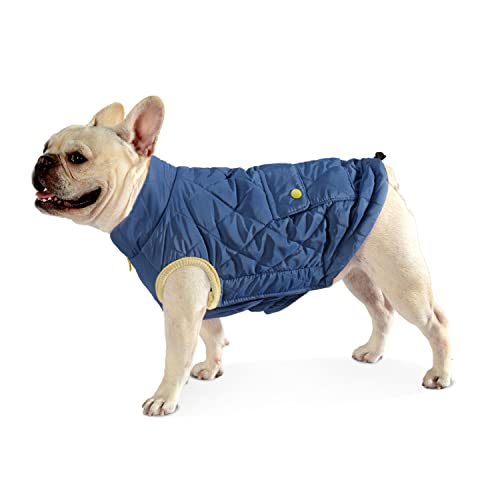 Dociote Hund Wintermantel Winterjacke mit Krageloch, Tasche, Baumwolle Gepolstert Hundemantel Weste für kleine Hunde M Dunkelblau von Dociote