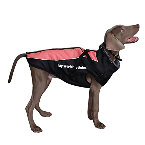 Dociote Hunde Wintermantel Winterjacke mit Geschirr Reißverschluss reflektierender & winddichter Hundemantel Hundejacke mit Gurte und D-Ring für mittelgroße große Hunde Rot Dociote Hunde Wintermantel Winterjacke mit Geschirr Reißverschluss reflektierender & winddichter Hundemantel Hundejacke mit Gurte und D-Ring für mittelgroße große Hunde Rot von Dociote