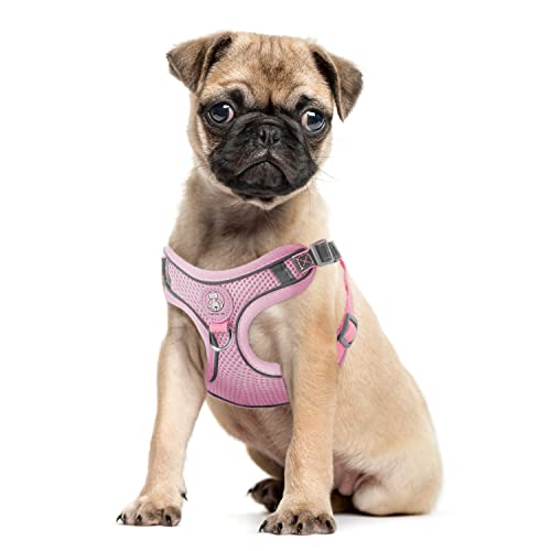 Hundegeschirr Katzengeschirr Set mit Leine ausbruchsicher - Antizug Geschirr mit Brustring Mesh Brustgeschirr für mittelgrosse Hunde und Grosse Katzen Pink M von Dociote