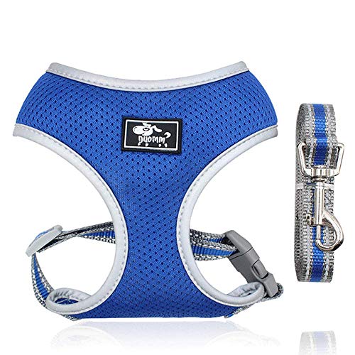 Dociote Hundegeschirr Set mit Leine - Brustgeschirr Welpengeschirr Set mit Leine & Reflektorstreifen verstellbares Geschirr für Welpen kleine Hunde Katzen Blau S Dociote Hundegeschirr Set mit Leine - Brustgeschirr Welpengeschirr Set mit Leine & Reflektorstreifen verstellbares Geschirr für Welpen kleine Hunde Katzen Blau S von Dociote