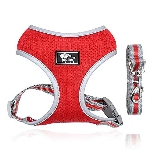 Dociote Hundegeschirr Set mit Leine - Brustgeschirr Welpengeschirr Set mit Leine & Reflektorstreifen verstellbares Geschirr für Welpen kleine Hunde Katzen Rot S Dociote Hundegeschirr Set mit Leine - Brustgeschirr Welpengeschirr Set mit Leine & Reflektorstreifen verstellbares Geschirr für Welpen kleine Hunde Katzen Rot S von Dociote