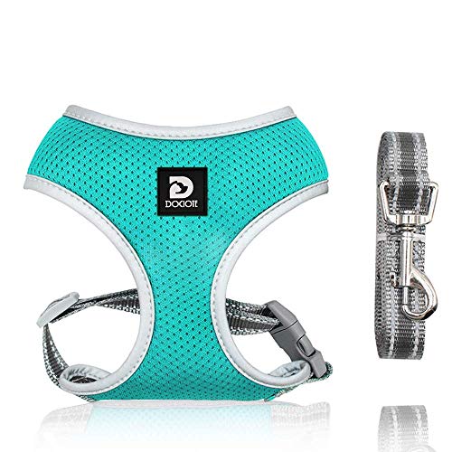 Dociote Hundegeschirr Set mit Leine - Brustgeschirr Welpengeschirr Set mit Leine & Reflektorstreifen verstellbares Geschirr für Welpen kleine Hunde Katzen Türkis XS Dociote Hundegeschirr Set mit Leine - Brustgeschirr Welpengeschirr Set mit Leine & Reflektorstreifen verstellbares Geschirr für Welpen kleine Hunde Katzen Türkis XS von Dociote