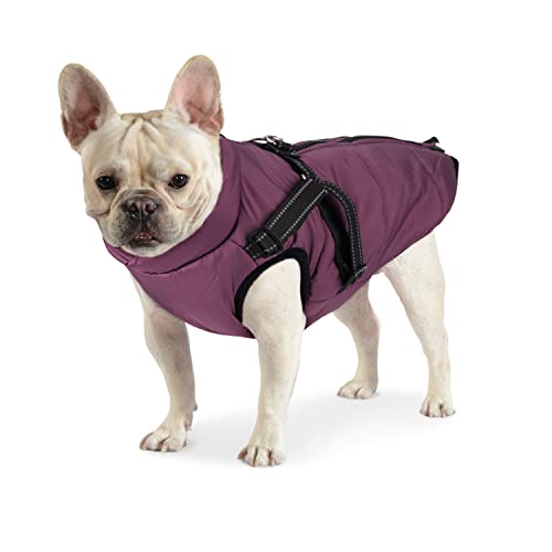 Dociote Hundemantel Hundejacke mit Geschirr & Reißverschluss gefütterter & wasserdichter Wintermantel Winterjacke für Winter für kleine mittelgroße Hunde Lila L Dociote Hundemantel Hundejacke mit Geschirr & Reißverschluss gefütterter & wasserdichter Wintermantel Winterjacke für Winter für kleine mittelgroße Hunde Lila L von Dociote