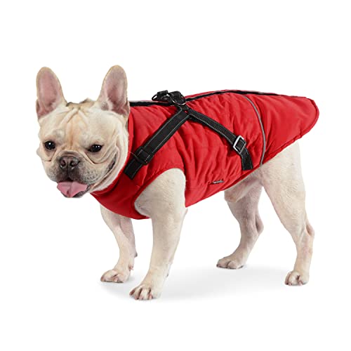 Dociote Hundemantel Hundejacke mit Geschirr & Reißverschluss gefütterter & wasserdichter Wintermantel Winterjacke für Winter für kleine mittelgroße Hunde Rot XL Dociote Hundemantel Hundejacke mit Geschirr & Reißverschluss gefütterter & wasserdichter Wintermantel Winterjacke für Winter für kleine mittelgroße Hunde Rot XL von Dociote