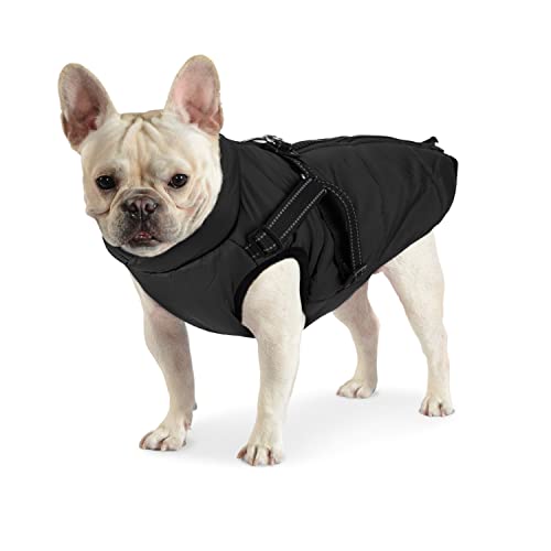 Dociote Hundemantel Hundejacke mit Geschirr & Reißverschluss gefütterter & wasserdichter Wintermantel Winterjacke für Winter für kleine mittelgroße Hunde Schwarz L Dociote Hundemantel Hundejacke mit Geschirr & Reißverschluss gefütterter & wasserdichter Wintermantel Winterjacke für Winter für kleine mittelgroße Hunde Schwarz L von Dociote