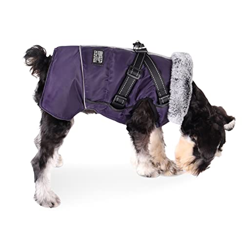 Dociote Hundemantel Hundejacke mit abnehmbarem Geschirr & Klettverschluss gefütterter & wasserdichter Wintermantel Winterjacke für kleine mittelgroße Hunde Lila XL Dociote Hundemantel Hundejacke mit abnehmbarem Geschirr & Klettverschluss gefütterter & wasserdichter Wintermantel Winterjacke für kleine mittelgroße Hunde Lila XL von Dociote
